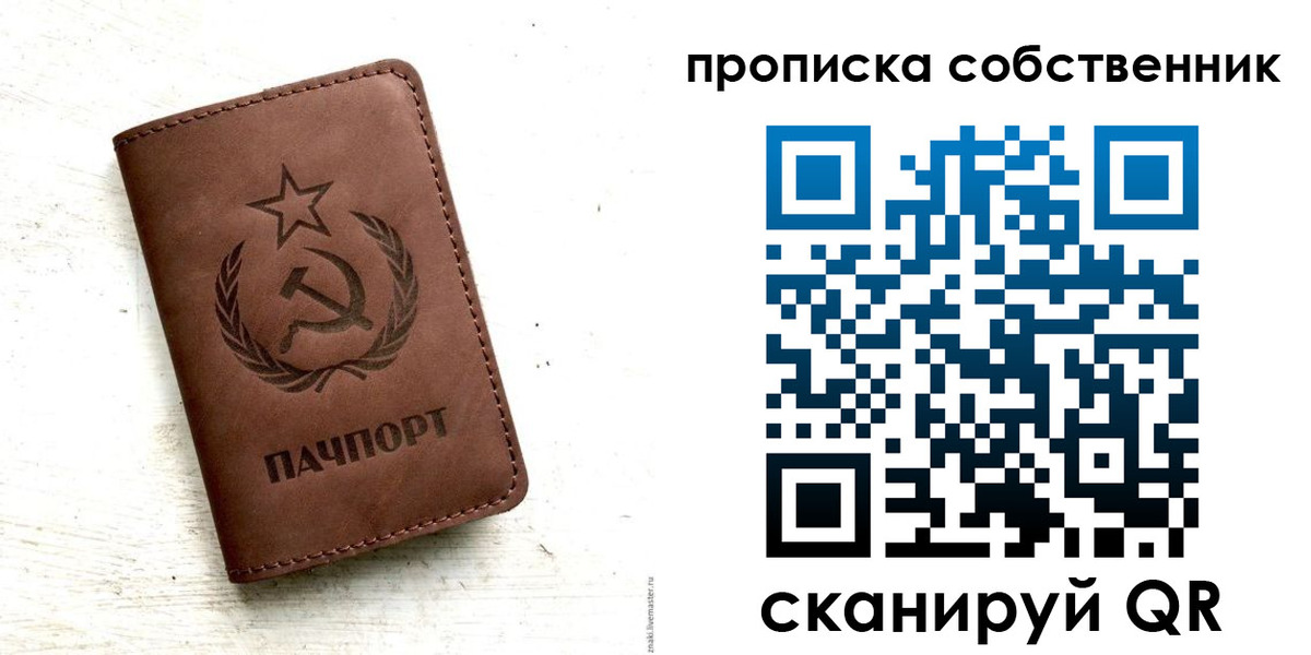 прописка для школы в Луге