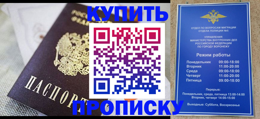 временная регистрация купить в Луге